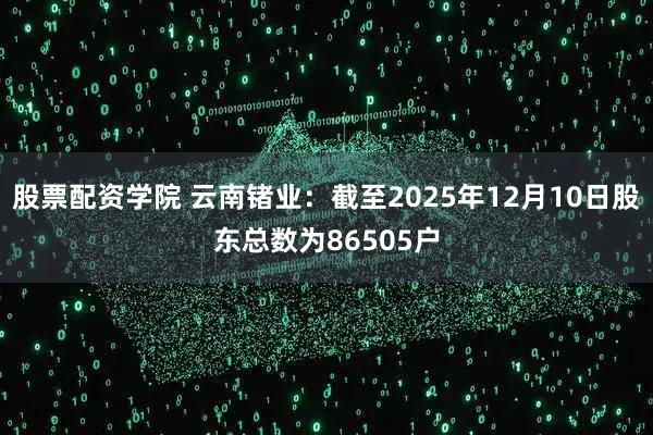 股票配资学院 云南锗业：截至2025年12月10日股东总数为86505户