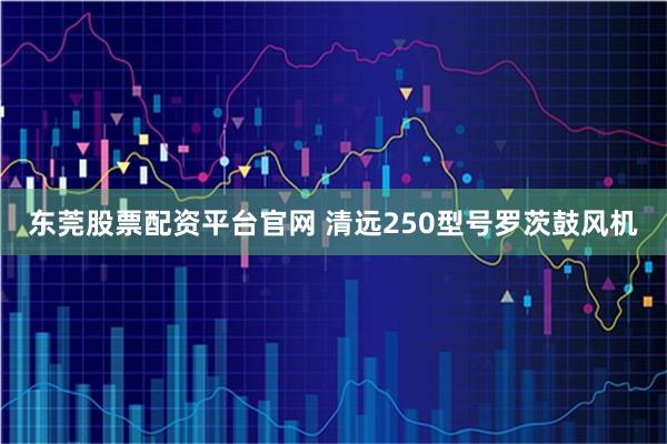 东莞股票配资平台官网 清远250型号罗茨鼓风机