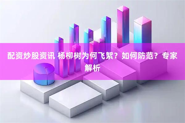 配资炒股资讯 杨柳树为何飞絮？如何防范？专家解析
